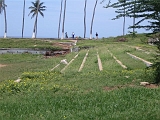 Apsu 004